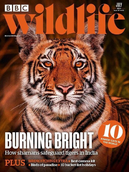 Title details for BBC Wildlife Magazine by Our Media Limited - Available